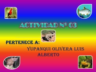 ACTIVIDAD Nº 03 PERTENECE A:       YUPANQUI OLIVERA LUIS ALBERTO 