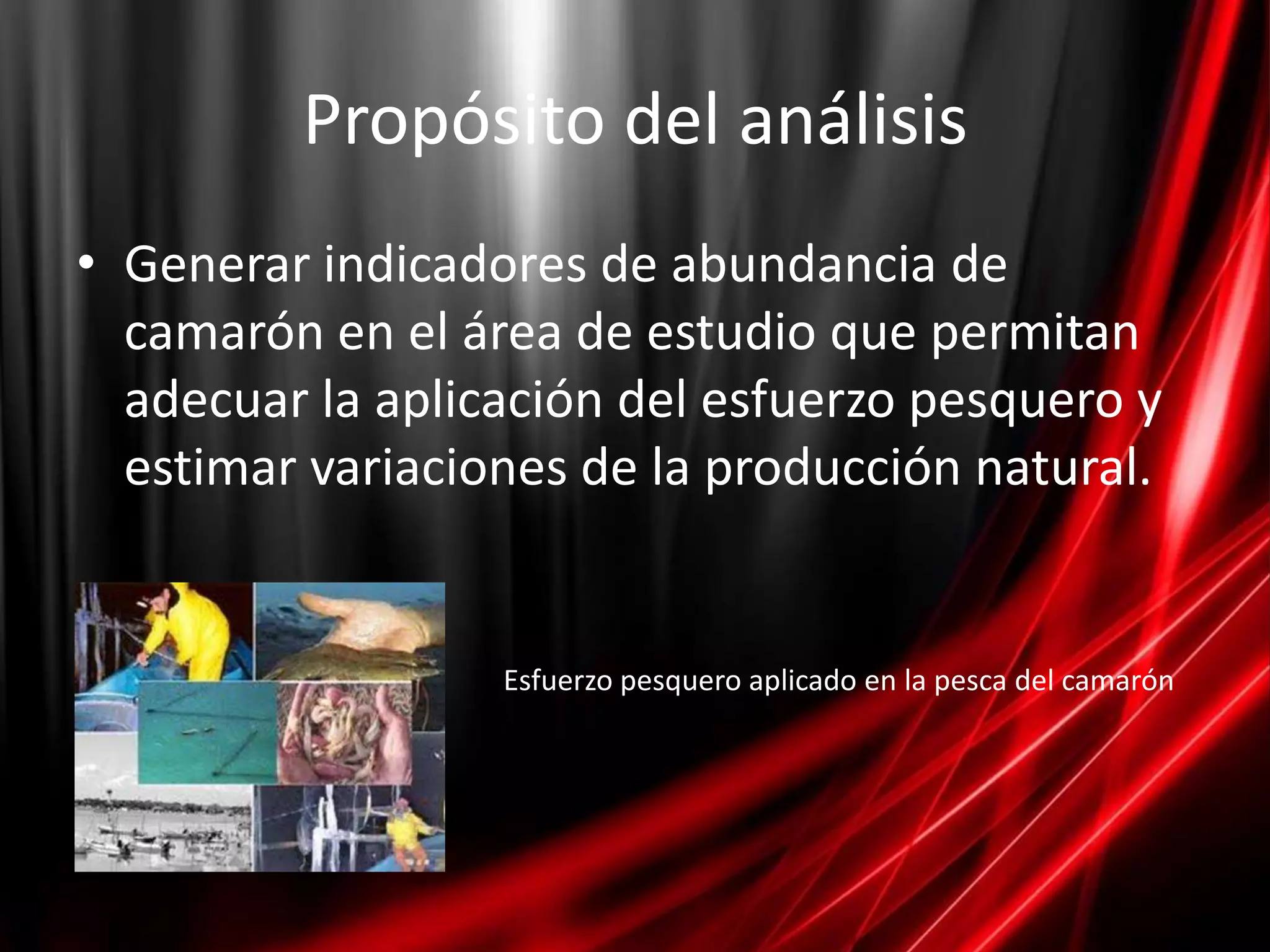 Propósito del análisis
• Generar indicadores de abundancia de
  camarón en el área de estudio que permitan
  adecuar la aplicación del esfuerzo pesquero y
  estimar variaciones de la producción natural.


                  Esfuerzo pesquero aplicado en la pesca del camarón
 