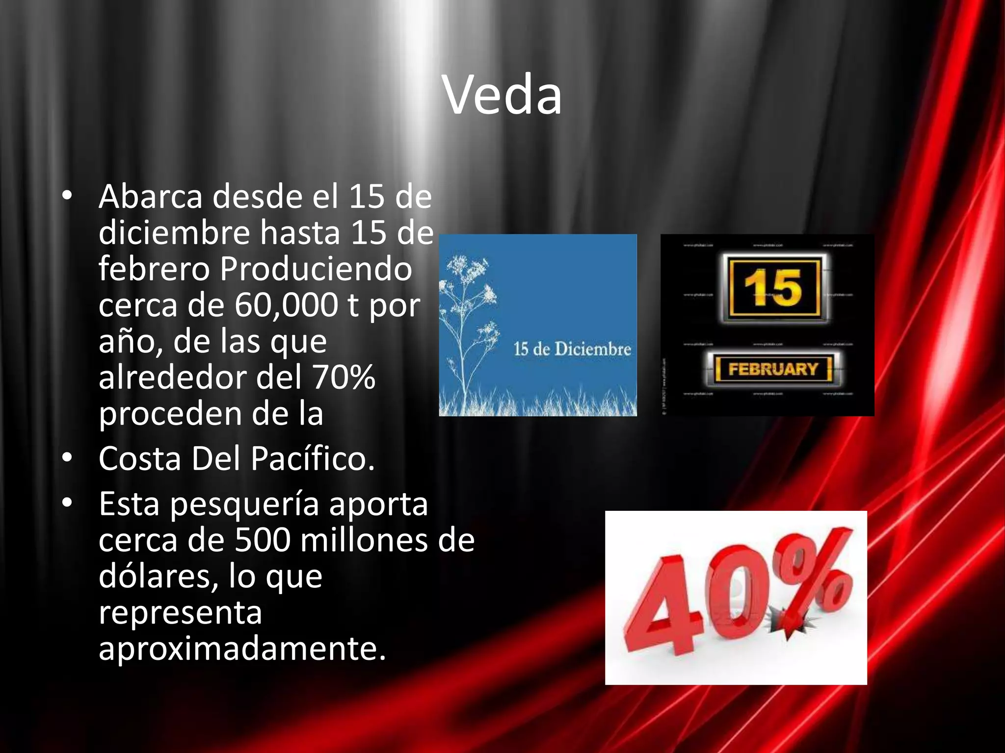 Veda
• Abarca desde el 15 de
  diciembre hasta 15 de
  febrero Produciendo
  cerca de 60,000 t por
  año, de las que
  alrededor del 70%
  proceden de la
• Costa Del Pacífico.
• Esta pesquería aporta
  cerca de 500 millones de
  dólares, lo que
  representa
  aproximadamente.
 