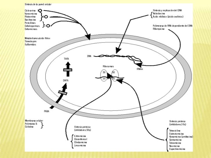 Inhibidores metabolicos - inhibidores celulares