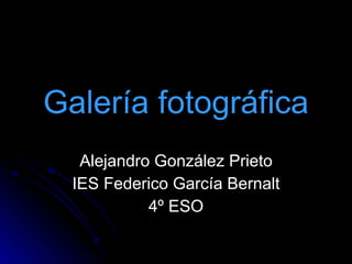 Galería fotográfica Alejandro González Prieto IES Federico García Bernalt 4º ESO 