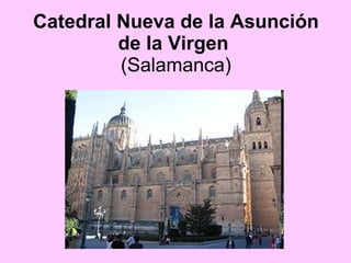 Catedral Nueva de la Asunción de la Virgen   (Salamanca) 