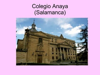 Colegio Anaya (Salamanca) 