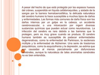 A pesar del hecho de que está protegido por los espesos huesos
del cráneo, suspendido en líquido cefalorraquídeo, y aislado de la
sangre por la barrera hematoencefálica, la delicada naturaleza
del cerebro humano lo hace susceptible a muchos tipos de daños
y enfermedades. Las formas más comunes de daño físico son los
daños internos por un golpe en la cabeza, un accidente
cerebrovascular, o una intoxicación por ingerir diversas
sustancias químicas que pueden actuar como neurotoxinas. La
infección del cerebro es rara debido a las barreras que lo
protegen, pero es muy grave cuando se produce. El cerebro
humano también es susceptible de padecer enfermedades
degenerativas, como la enfermedad de Parkinson, la esclerosis
múltiple y la enfermedad de Alzheimer. Una serie de trastornos
psiquiátricos, como la esquizofrenia y la depresión, se estima que
son causadas al menos parcialmente por disfunciones
cerebrales, aunque la naturaleza de tales anomalías cerebrales
no es bien entendida.
 