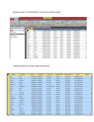 Después vamos a “vista de datos” y veremos las casillas creadas
Luego procedemos a llenarla según corresponda
 