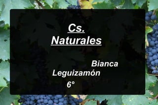 Cs.Cs.
NaturalesNaturales
BiancaBianca
LeguizamónLeguizamón
6°6°
 
