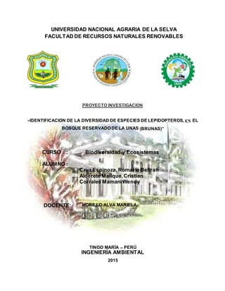 UNIVERSIDAD NACIONAL AGRARIA DE LA SELVA
FACULTAD DE RECURSOS NATURALES RENOVABLES
INGENIERÍA AMBIENTAL
2015
PROYECTO INVESTIGACION
“IDENTIFICACION DE LA DIVERSIDAD DE ESPECIES DE LEPIDOPTEROS, EN EL
BOSQUE RESERVADO DE LA UNAS (BRUNAS)”
CURSO : Biodiversidad y Ecosistemas
ALUMNO :
Cruz Espinoza,Romario Beltran
Alderete Mallque,Cristian
Corrales MamaniWendy
DOCENTE: MORILLO ALVA MARIELA
TINGO MARÍA – PERÚ
 