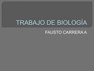 TRABAJO DE BIOLOGÍA FAUSTO CARRERA A 