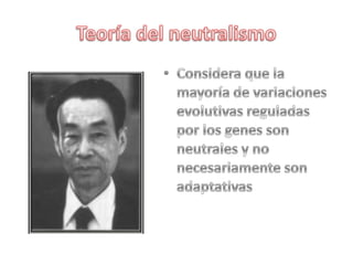 Teoría del neutralismo Considera que la mayoría de variaciones evolutivas reguladas por los genes son neutrales y no necesariamente son adaptativas