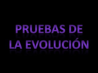 Pruebas de la evolución