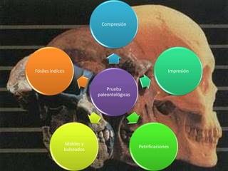 Trabajo de biología