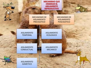 Trabajo de biología