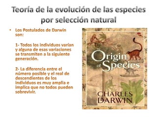 Teoría de la evolución de las especies por selección naturalLos Postulados de Darwin son:1- Todos los individuos varían y alguna de esas variaciones se transmiten a la siguiente generación.2- La diferencia entre el número posible y el real de descendientes de los individuos es muy amplia e implica que no todos pueden sobrevivir.