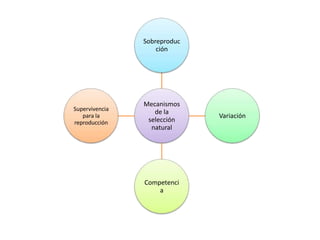 Trabajo de biología