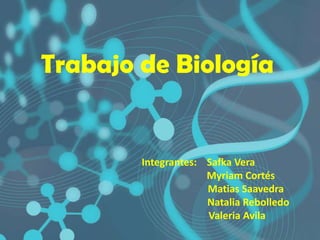 Trabajo de Biología


        Integrantes: Safka Vera
                     Myriam Cortés
                     Matias Saavedra
                     Natalia Rebolledo
                     Valeria Avila
 
