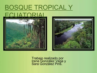 BOSQUE TROPICAL Y
ECUATORIAL




      Trabajo realizado por
      Irene González Vega y
      Sara González Piris.
 