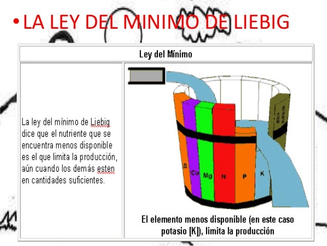 Ley Del Minimo O Principio De Liebig es.slideshare.net