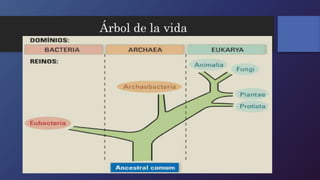 Árbol de la vida 
 