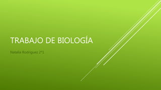 TRABAJO DE BIOLOGÍA
Natalia Rodríguez 2º1
 