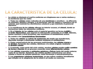  La célula es diminuta el cual la conforma un citoplasma uno o varios núcleos y
la membrana que las rodea
 1. Todas las células están rodeadas de una membrana o envoltura – es diferente
en animales, plantas y hongos, y en bacterias- que las separa y comunica con el
exterior, que controla los movimientos celulares y que mantiene el potencial
eléctrico.
 2. La membrana de las células alberga un interior acuoso, el citosol, donde se
encuentran todos los elementos celulares.
 3. En el interior de las células está el material genético en forma deADN y
el ácido ribonucleico, que expresa la información contenida en el ADN. Además,
tienen enzimas y otras proteínas, que mantienen el metabolismo activo.
 En cuanto a las características funcionales:
 1. Todas las células se nutren de sustancias del medio que transforman,
liberando energía y eliminando residuos mediante el metabolismo.
 2. Como consecuencia de los procesos nutricionales, las células crecen y
se dividen, formando dos células, idénticas a la célula original, mediante
la división celular.
 3. A menudo, como parte del ciclo celular, muchas células pueden sufrir cambios
de forma o función en un proceso conocido como diferenciación celular.
 4. Las células responden a estímulos químicos y físicos tanto del medio externo
como de su interior. Asimismo, las células pueden comunicarse con otras
células a través de señales químicas, como hormonas o neurotransmisores.
 5. Los organismos celulares evolucionan, ya que sufren cambios hereditarios
que influyen en la adaptación de la célula a un medio en concreto.
 