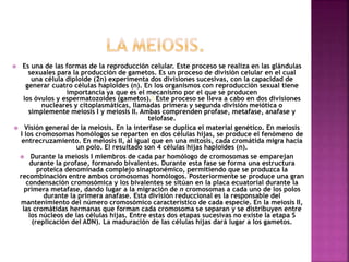  Es una de las formas de la reproducción celular. Este proceso se realiza en las glándulas
sexuales para la producción de gametos. Es un proceso de división celular en el cual
una célula diploide (2n) experimenta dos divisiones sucesivas, con la capacidad de
generar cuatro células haploides (n). En los organismos con reproducción sexual tiene
importancia ya que es el mecanismo por el que se producen
los óvulos y espermatozoides (gametos).1 Este proceso se lleva a cabo en dos divisiones
nucleares y citoplasmáticas, llamadas primera y segunda división meiótica o
simplemente meiosis I y meiosis II. Ambas comprenden profase, metafase, anafase y
telofase.
 Visión general de la meiosis. En la interfase se duplica el material genético. En meiosis
I los cromosomas homólogos se reparten en dos células hijas, se produce el fenómeno de
entrecruzamiento. En meiosis II, al igual que en una mitosis, cada cromátida migra hacia
un polo. El resultado son 4 células hijas haploides (n).
 Durante la meiosis I miembros de cada par homólogo de cromosomas se emparejan
durante la profase, formando bivalentes. Durante esta fase se forma una estructura
proteica denominada complejo sinaptonémico, permitiendo que se produzca la
recombinación entre ambos cromosomas homólogos. Posteriormente se produce una gran
condensación cromosómica y los bivalentes se sitúan en la placa ecuatorial durante la
primera metafase, dando lugar a la migración de n cromosomas a cada uno de los polos
durante la primera anafase. Esta división reduccional es la responsable del
mantenimiento del número cromosómico característico de cada especie. En la meiosis II,
las cromátidas hermanas que forman cada cromosoma se separan y se distribuyen entre
los núcleos de las células hijas. Entre estas dos etapas sucesivas no existe la etapa S
(replicación del ADN). La maduración de las células hijas dará lugar a los gametos.
 