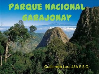 Parque Nacional
  Garajonay




      Guillermo Lara 4ºA E.S.O.
 