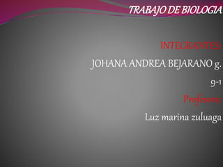 TRABAJODE BIOLOGIA
INTEGRANTES:
JOHANA ANDREA BEJARANO g.
9-1
Profesora:
Luz marina zuluaga
 