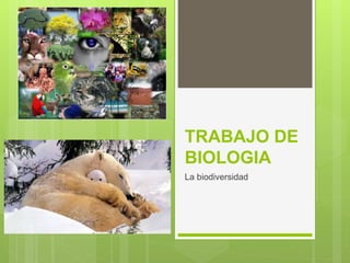 TRABAJO DE
BIOLOGIA
La biodiversidad
 