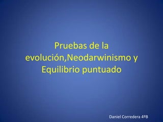 Pruebas de la evolución,Neodarwinismo y Equilibrio puntuado Daniel Corredera 4ºB 