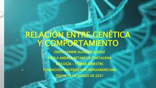 RELACIÓN ENTRE GENÉTICA
Y COMPORTAMIENTO
ERIKA YASMIN ÁLVAREZ QUIROZ
PAOLA ANDREA BETANCUR CARTAGENA
BIOLOGÍA - PRIMER SEMESTRE
FUNDACIÓN UNIVERSITARIA IBEROAMERICANA
FECHA:19 DE MARZO DE 2021
 