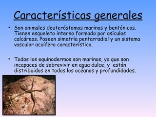 Características generales Son animales deuteróstomos marinos y bentónicos. Tienen esqueleto interno formado por osículos calcáreos. Poseen simetría pentarradial y un sistema vascular acuífero característico. Todos los equinodermos son marinos, ya que son incapaces de sobrevivir en agua dulce, y  están distribuidos en todos los océanos y profundidades.  