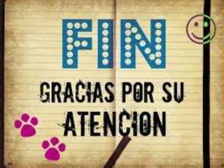 tejido muscular cardiaco