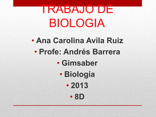 TRABAJO DE
BIOLOGIA
• Ana Carolina Avila Ruiz
• Profe: Andrés Barrera
• Gimsaber
• Biología
• 2013
• 8D

 