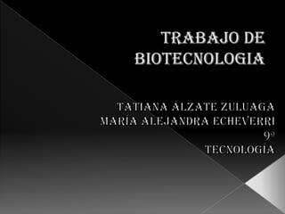 TRABAJO DE BIOTECNOLOGIA Tatiana Álzate Zuluaga María Alejandra Echeverri  9ª tecnología 