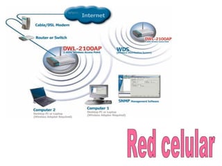 Red celular 