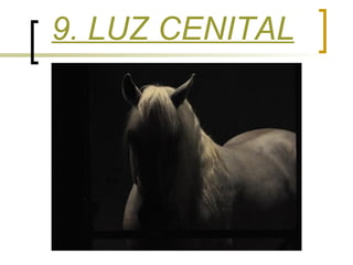 9. LUZ CENITAL

 