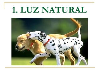 1. LUZ NATURAL

 