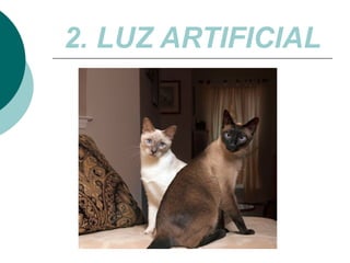 2. LUZ ARTIFICIAL

 