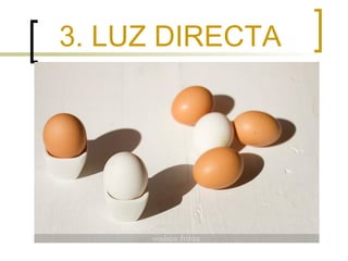 3. LUZ DIRECTA

 