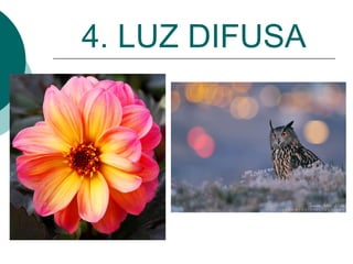 4. LUZ DIFUSA

 