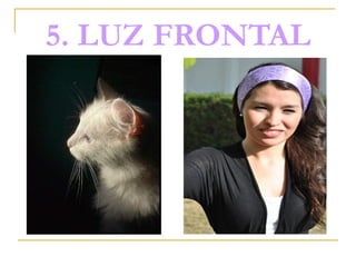 5. LUZ FRONTAL

 