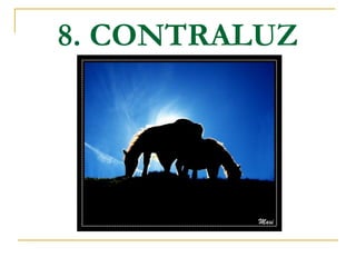 8. CONTRALUZ

 
