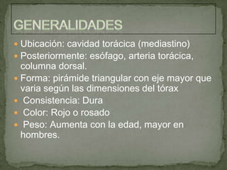  Ubicación: cavidad torácica (mediastino)
 Posteriormente: esófago, arteria torácica,
  columna dorsal.
 Forma: pirámide triangular con eje mayor que
  varia según las dimensiones del tórax
 Consistencia: Dura
 Color: Rojo o rosado
 Peso: Aumenta con la edad, mayor en
  hombres.
 