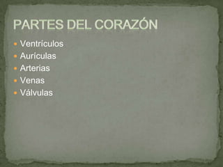  Ventrículos
 Aurículas
 Arterias
 Venas
 Válvulas
 