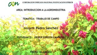 CORPORACION UNIFICADA NACIONAL DE EDUCACION SUPERIOR
AREA: INTRODUCCION A LA AGROINDUSTRIA
TEMATICA: TRABAJO DE CAMPO
DOCENTE: Pedro Sánchez
ESTUDIANTE: DEIVER EDISSON CANTICUS
FECHA: 08-JUN-2018
 