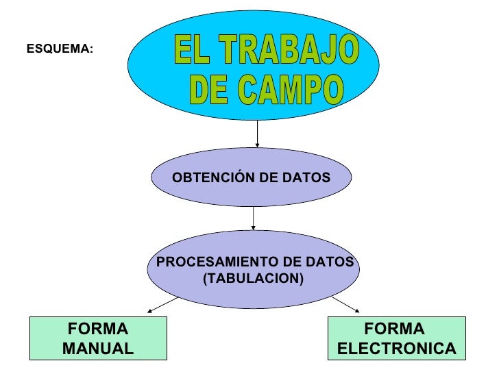 Trabajo De Campo