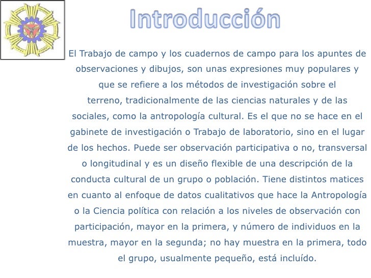 Trabajo De Campo