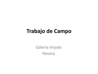 Trabajo de Campo

   Galería Impala
      Pereira
 