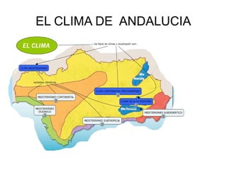 EL CLIMA DE ANDALUCIA
 