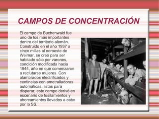 CAMPOS DE CONCENTRACIÓN  El campo de Buchenwald fue uno de los más importantes dentro del territorio alemán. Construido en el año 1937 a cinco millas al noroeste de Weimar, se creó para ser habitado sólo por varones, condición modificada hacia 1944, año en que comenzaron a reclutarse mujeres. Con alambrados electrificados y centinelas con ametralladoras automáticas, listas para disparar, este campo derivó en escenario de fusilamientos y ahorcamientos llevados a cabo por la SS. 